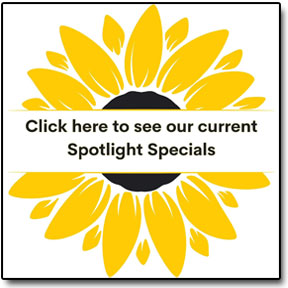 Sunflower_SpotlightSpecials image