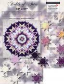 Fields of Aster quilt sewing pattern from Quiltworx and Judy Niemeyer 1