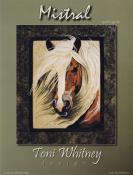 Mistral-quilt-sewing-pattern-Toni-Whitney-Designs-front